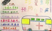 做遵守交通规则的小标兵_300字