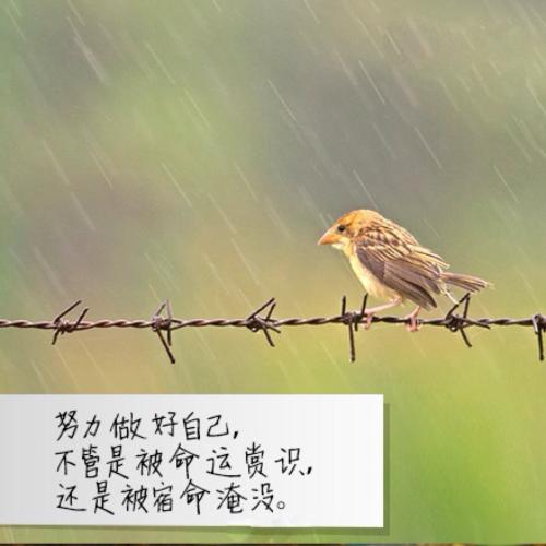 你最好_1200字