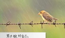 你最好了_1200字