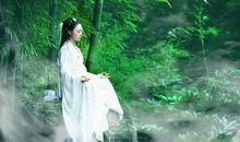 青衫若素骋江湖，不负轻狂一场梦_650字