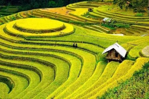 美丽的山区河流让我骄傲
