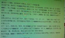 计划意义的暑假_450字