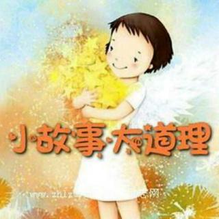 我最喜欢的书 - “小故事”_700字