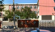 [超新星小学组]自由_700字