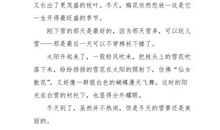 初三写景作文：冬天美景_1000字