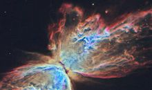 [暑假生活]美丽的蝴蝶_1500字