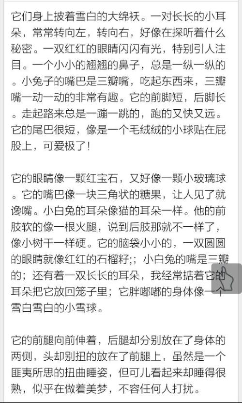 睡觉_100字