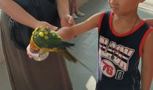 我的完美暑假_2000字