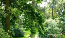 人生激流曲_800字