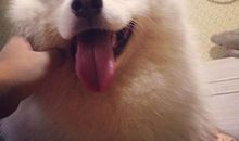 测测你的脸皮厚不厚？(5)