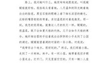 承载童年的地方_1200字