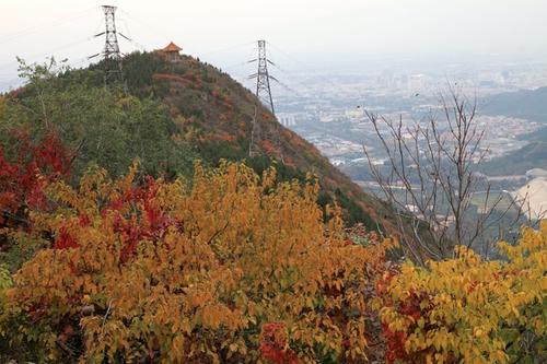 秋季旅游PYE国家森林公园_1000字
