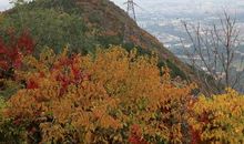 秋游蟒山国家森林公园_1000字