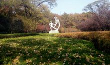 鹤城的秋天_800字