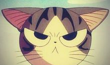 愚人节突觉肚子不爽_350字