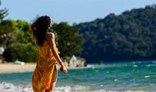 呼吁保护环境_800字