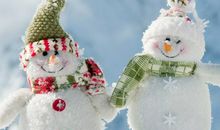 关于雪景的作文：冬日的第一场雪_650字