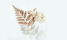 第三章《交锋》_1200字