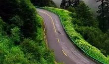 走过风景线_900字