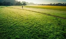 人生沉淀即风景_450字