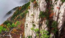 班级的风景_750字