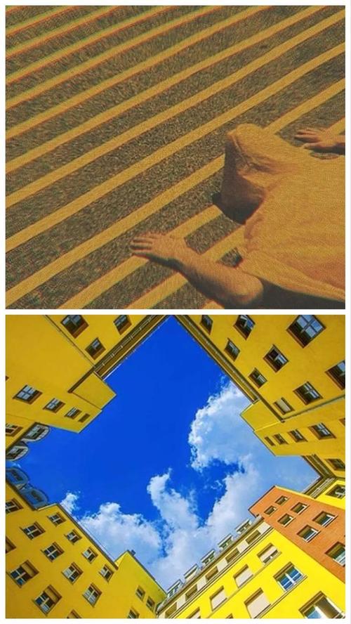 那一年，我们是一个景观_700字
