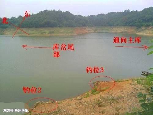 你是我不能错过这个_1000字的景色