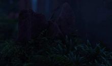 在黑夜穿梭_300字