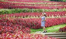 雨后的人生路_2000字