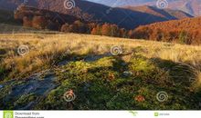 秋天的早晨_400字