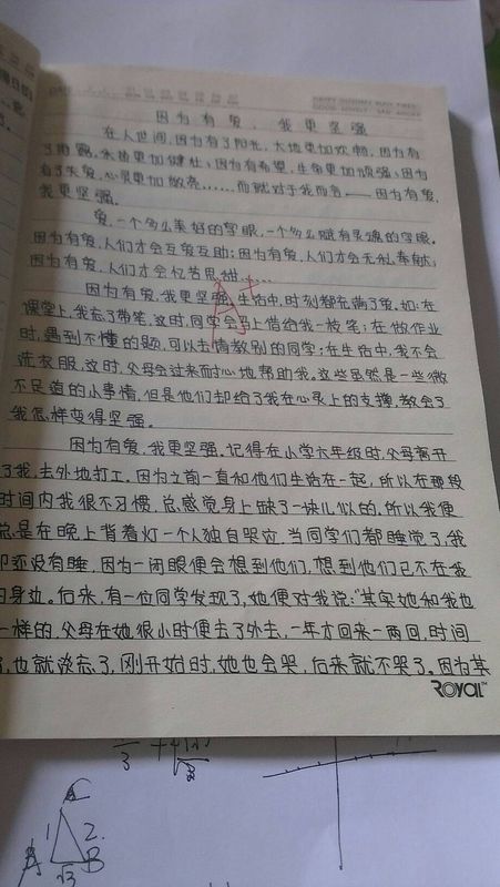 巍巍乐山_600字