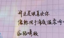 诺莉奇遇记（二）_1200字