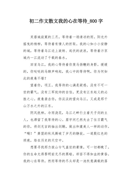 规则，品牌在我的心中_800字