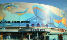 奇妙旅途【一】_500字