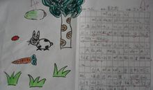 奇妙旅途【二】_400字