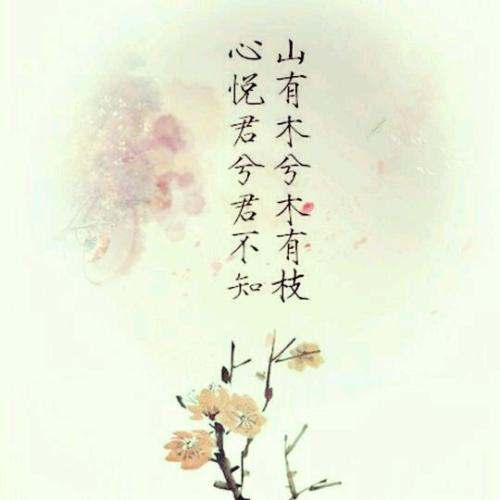 老人返回[上] _300字