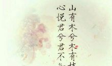 故人何时归【上】_300字