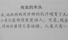 这段木头里一定有虫_700字