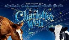 《夏洛特的网》英语读后感_900字