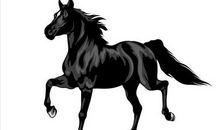 《黑骏马》英语读后感_2000字