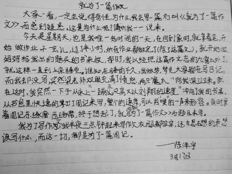 初级作家组成：最美丽的小队领袖_800字