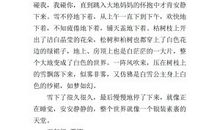 高三写景作文：冬天的雪_900字