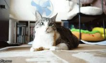 暑假・计划・我_700字