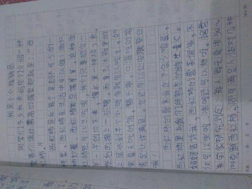 初中作家：有一个小希望_900字