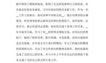 假期预定目标_600字