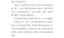 六年级状物作文：我喜欢荷花_550字