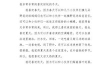 六年级状物作文：落叶美_500字