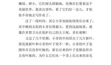 六年级状物作文：我家的冰箱_700字