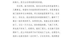 我要做到的事情_500字