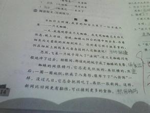 夏季日记_1000字